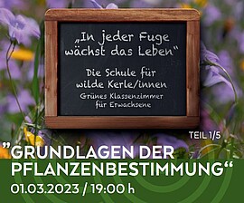 Banner Grünes Klassenzimmer "Herbst (Beerenstark und Geistreich)"
