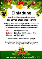 Logo Christbaumversteigerung 2017