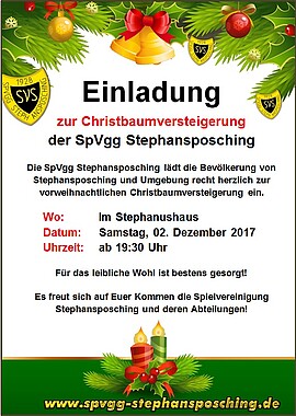 Banner Christbaumversteigerung 2017