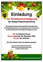 Logo Christbaumversteigerung