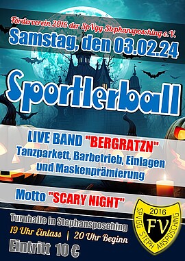 Banner Sportlerball